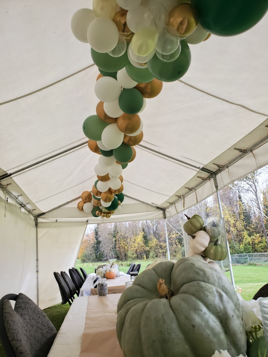 Egr Bvr Parties | 10 Oneida St, Hagersville, ON N0A 1H0, Canada | Phone: (905) 517-2666