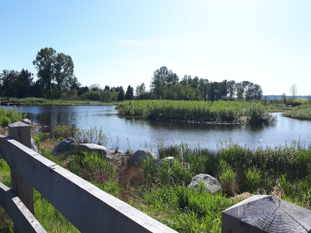 Blakeburn Ponds | 2845 Fremont St, Port Coquitlam, BC V3B 7X8, Canada