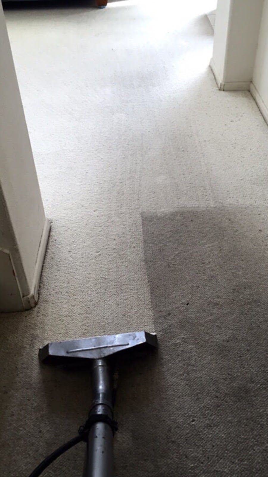 Williams Carpet Cleaning Coquitlam | 2044 Kugler Ave, Coquitlam, BC V3K 2S6, Canada | Phone: (604) 518-0878