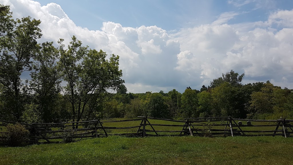 Salmon River Studios | 90 River Rd, Tamworth, ON K0K 3G0, Canada