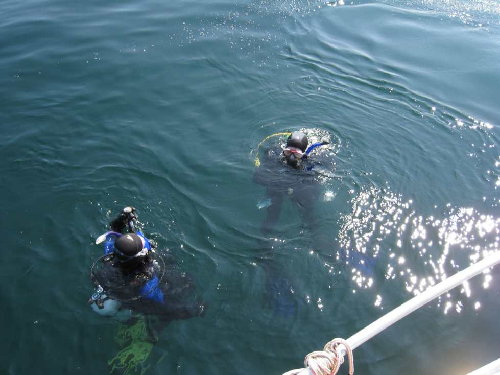 Pats Dive Charters | 1753 2, Kingston, ON K7L 4V1, Canada | Phone: (613) 539-1950