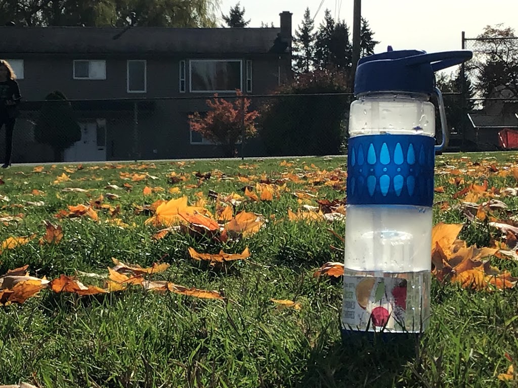 T E Scott Elementary School | 7079 148 St, Surrey, BC V3S 3E5, Canada | Phone: (604) 596-0357