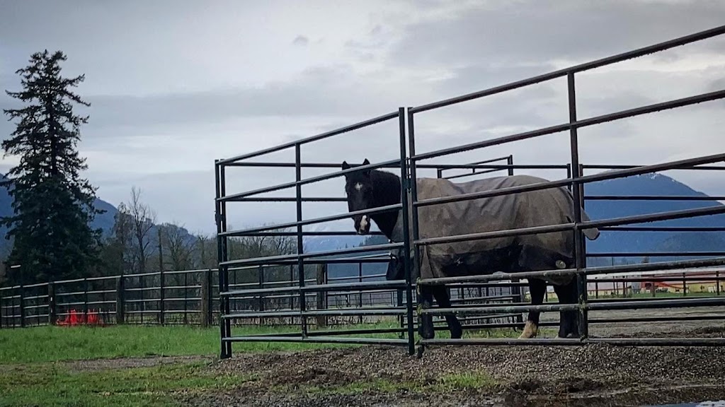 Kemp Equine Training | 49979 Camp River Rd, Chilliwack, BC V2P 6H4, Canada | Phone: (778) 933-2727