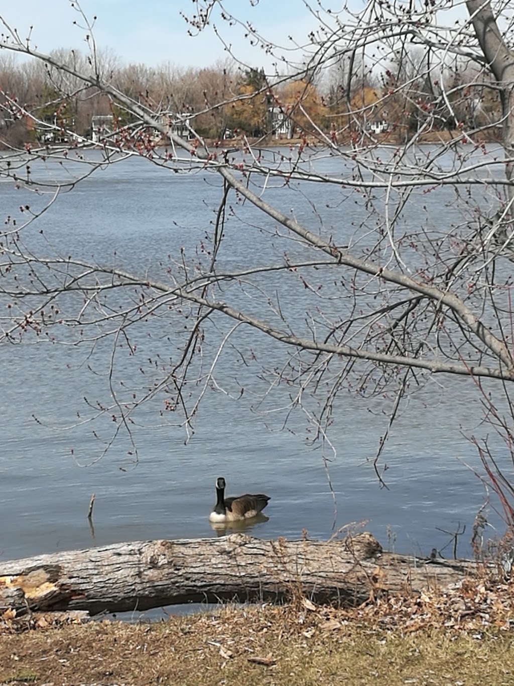 Parc de la Merci | Ahuntsic-Cartierville, Montreal, QC H3M, Canada