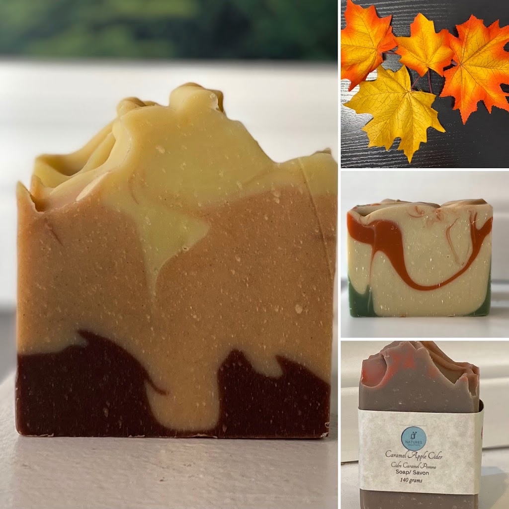 Natures Solution | 28b Queen St W, Elmvale, ON L0L 1P0, Canada | Phone: (705) 515-2723
