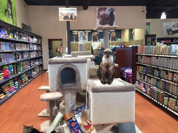 Bosleys by Pet Valu | 2362 Whatcom Road, Abbotsford, BC V3G 2L5, Canada | Phone: (604) 859-9056