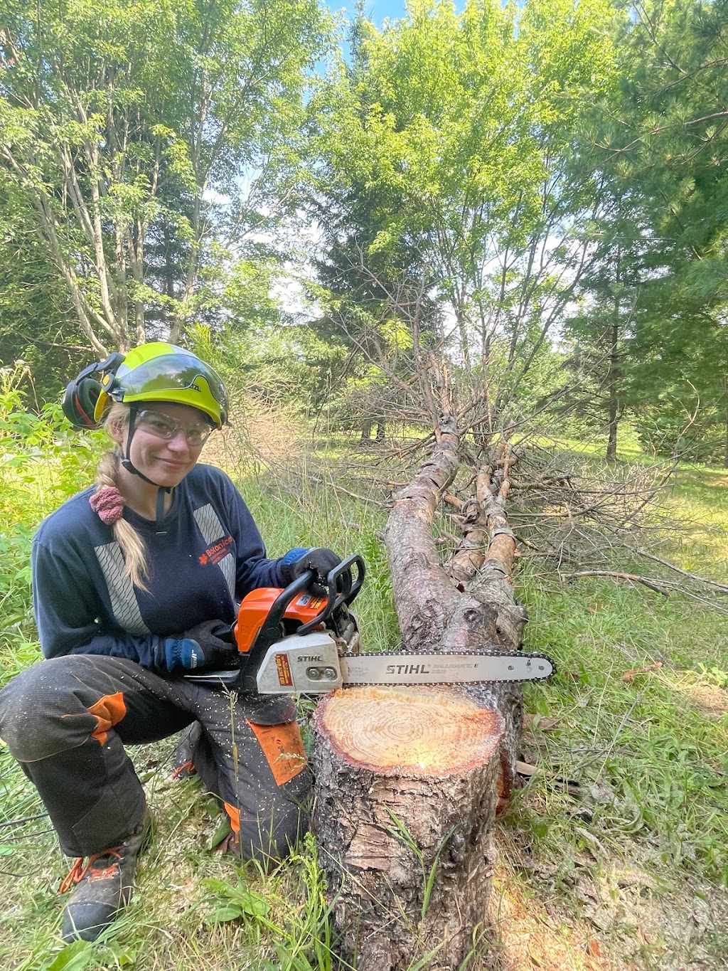 Balancer Tree Care | 1299 Canning Rd, Severn Bridge, ON P0E 1N0, Canada | Phone: (705) 619-4665