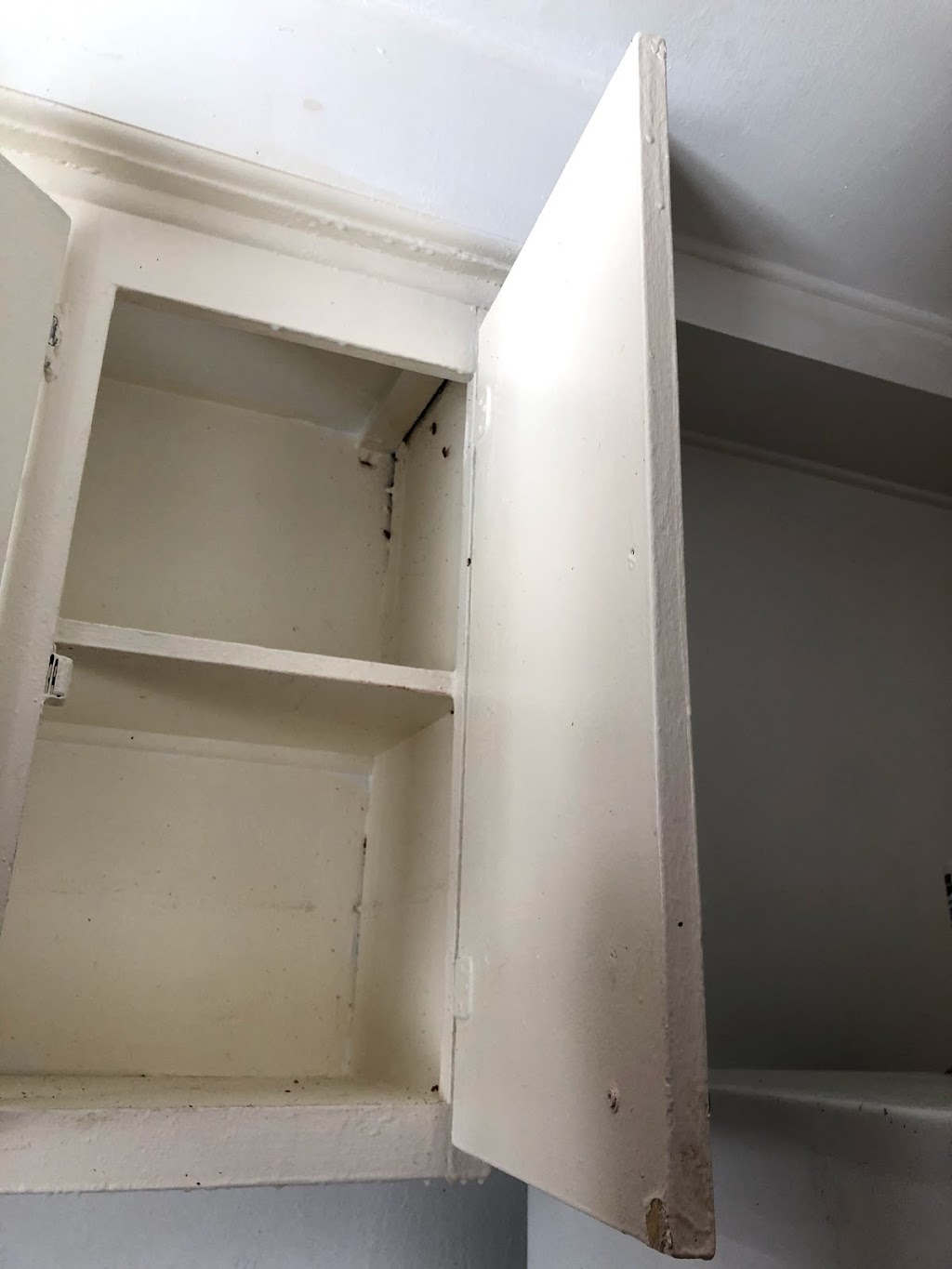 Extermination Guylaine Tremblay | 101 Rue Normandin, Saint-Jean-sur-Richelieu, QC J2Y 1E4, Canada | Phone: (514) 216-8005