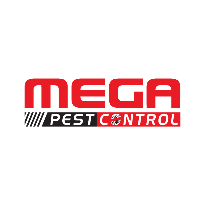 Abbotsford Mega Pest Control | 34909 Hamon Dr, Abbotsford, BC V2S 1H7, Canada | Phone: (604) 866-8616