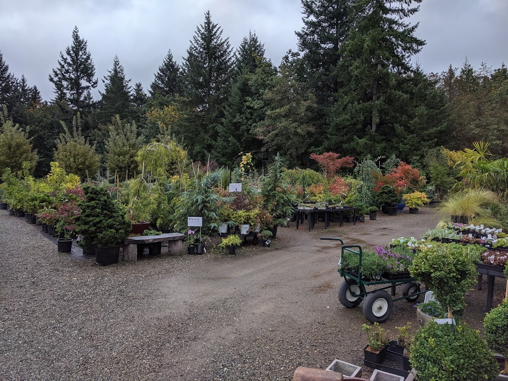 Outback Nursery & Garden Centre | 6016 Headquarters Rd, Courtenay, BC V9J 1M7, Canada | Phone: (250) 703-0723