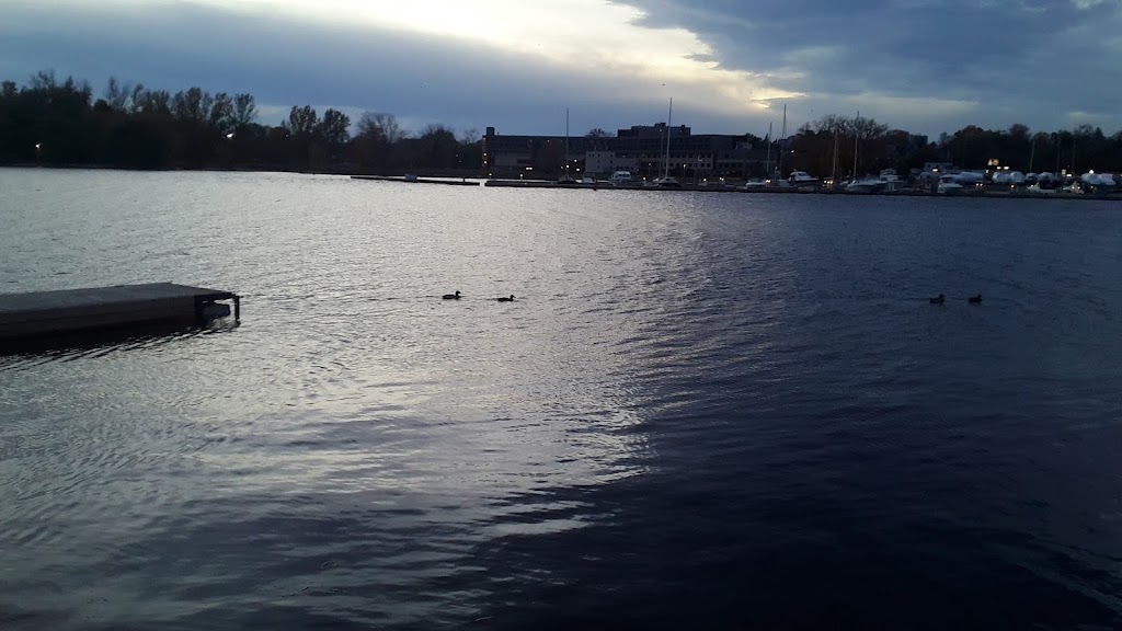 Belleville Dragon Boat Club The | 41 Craig St, Club House, Victoria Park, Belleville, ON K8P 2J9, Canada | Phone: (613) 885-8884