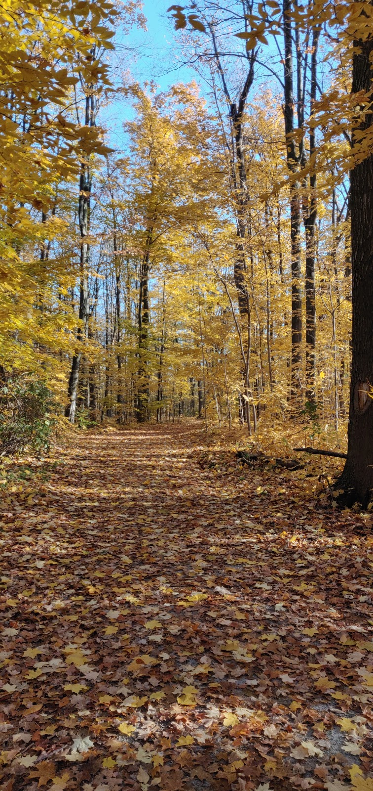 Larande Park | Brampton, ON L6Y, Canada