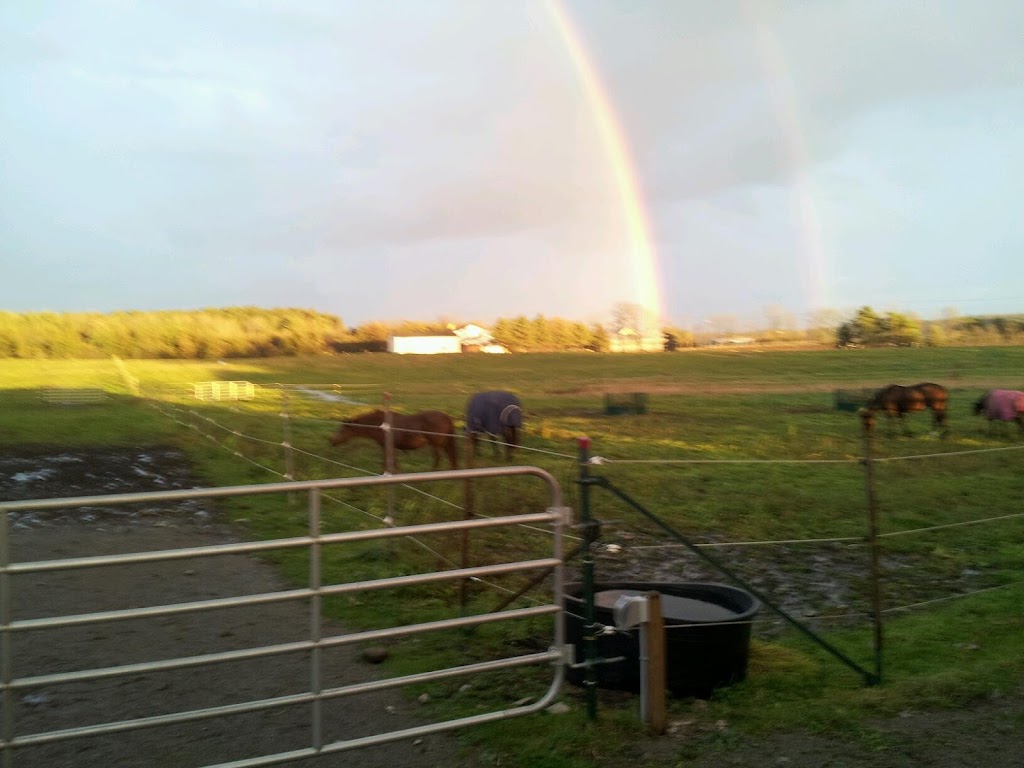 HidLea Stables | 1937 Concession 4 W, Troy, ON L0R 2B0, Canada | Phone: (289) 938-0801