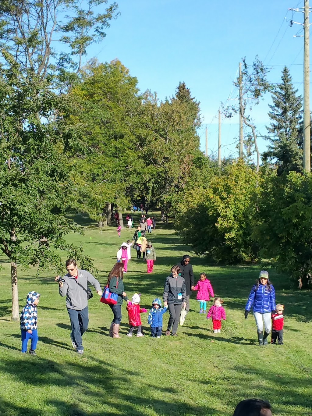 Bishop Hamilton Montessori School | 2199 Regency Terrace, Ottawa, ON K2C 1H2, Canada | Phone: (613) 596-4013