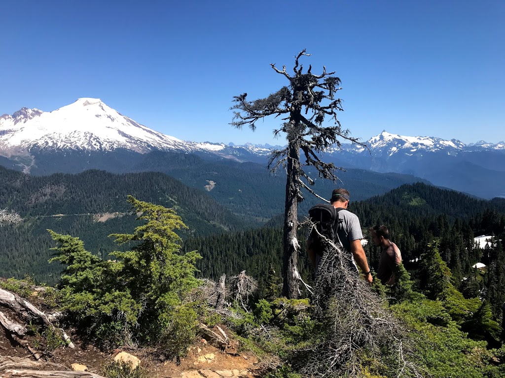 Blue Lake/Dock Butte Trailhead | NF-1230, Concrete, WA 98237, USA | Phone: (425) 783-6000