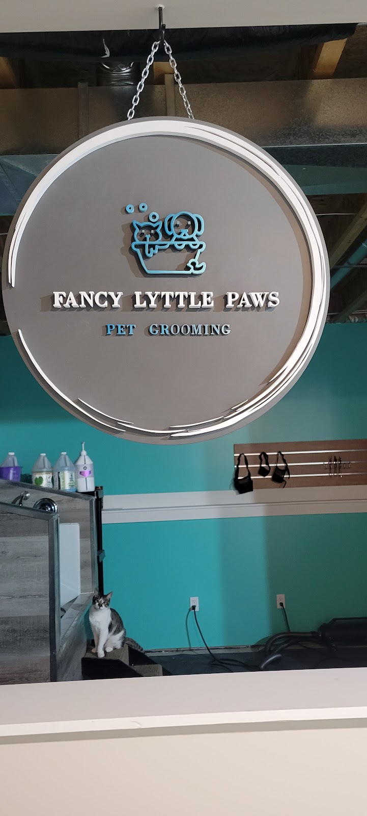 Fancy Lyttle Paws | Morris Ct, Blackfalds, AB T4M 0B3, Canada | Phone: (403) 596-3646