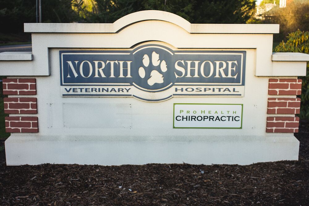 Northshore Veterinary Hospital | 1486 Electric Ave, Bellingham, WA 98229, USA | Phone: (360) 738-6916