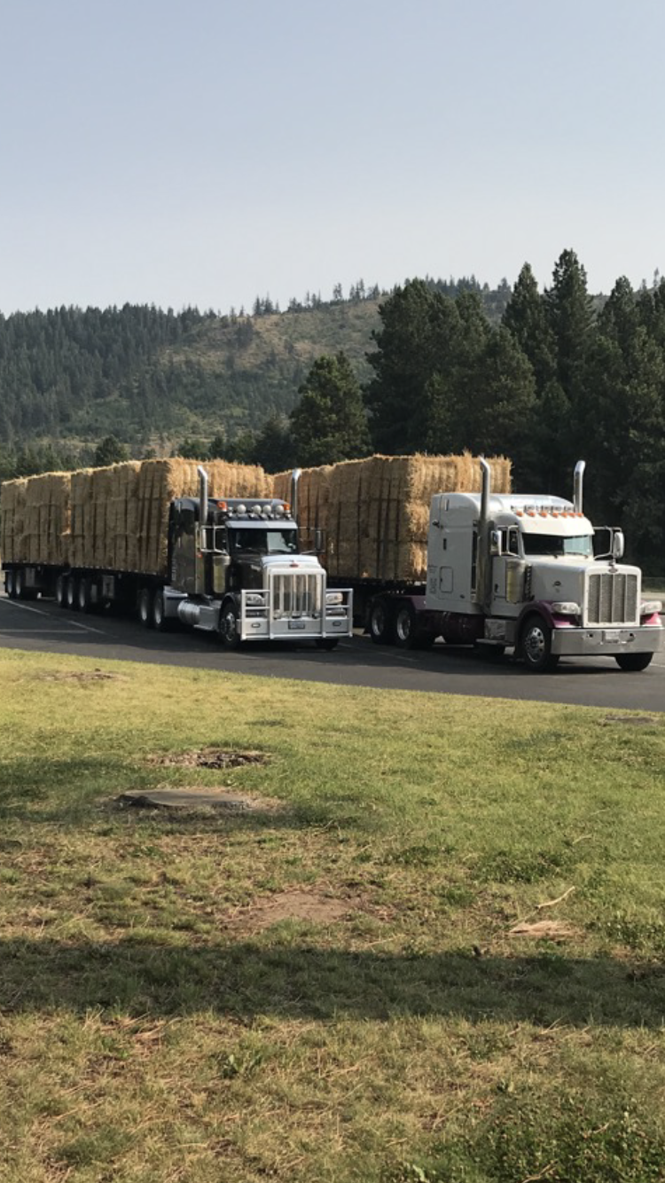Best Transport Image Ltd | 5080 208 St, Langley City, BC V3A 2J5, Canada | Phone: (604) 781-4831