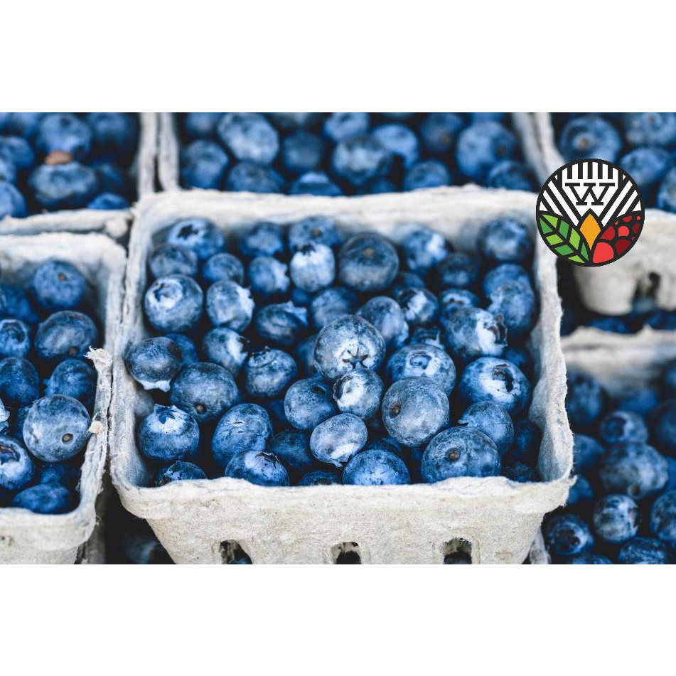 WINGREEN Farms - Wingreen International (Canada) Ltd. | 8539 River Rd S, Dewdney, BC V0M 1H0, Canada | Phone: (604) 370-1187