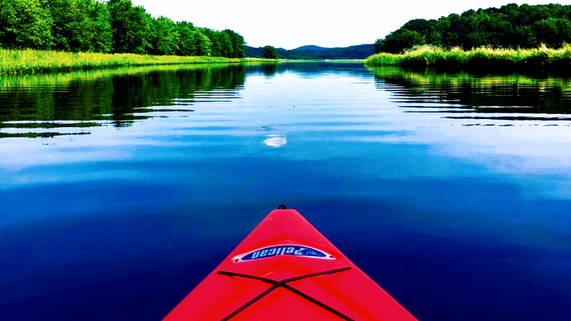 Darlings Island Rentals | 6S1, 117 Darlings Island Rd, Darlings Island, NB E5N 6S2, Canada | Phone: (506) 608-4239