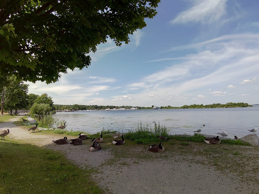 Kiwanis Skate Park | Lakeview Ave, Orillia, ON L3V 1T1, Canada