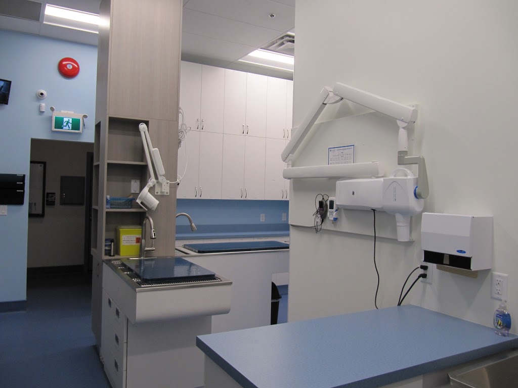 Harbourview Animal Hospital | 700 Marine Dr, North Vancouver, BC V7M 1H3, Canada | Phone: (604) 770-4557