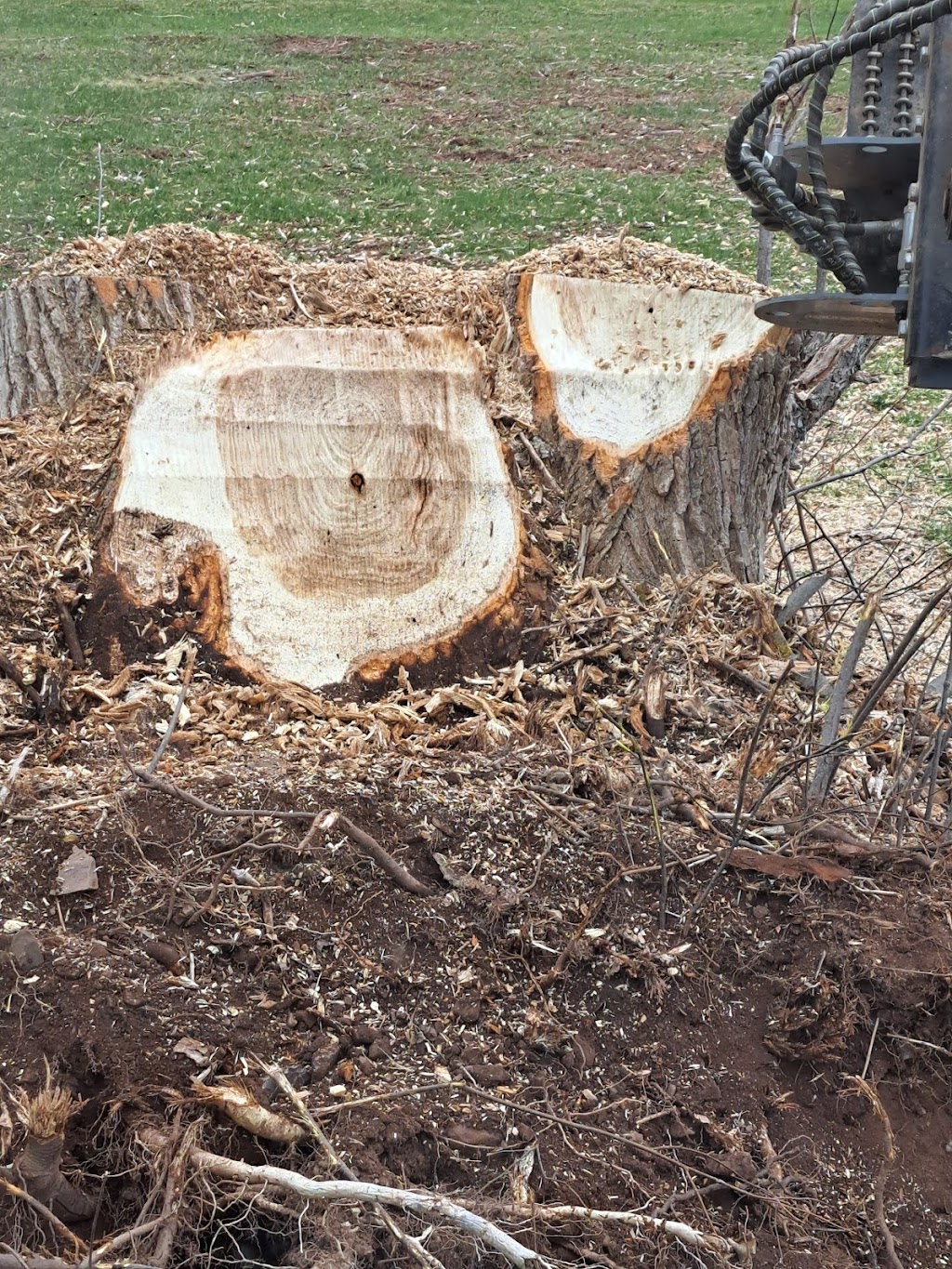 Richard Cook Excavation | 4175 Little Harbour Rd, Frasers Mountain, NS B2H 5C4, Canada | Phone: (902) 759-3809