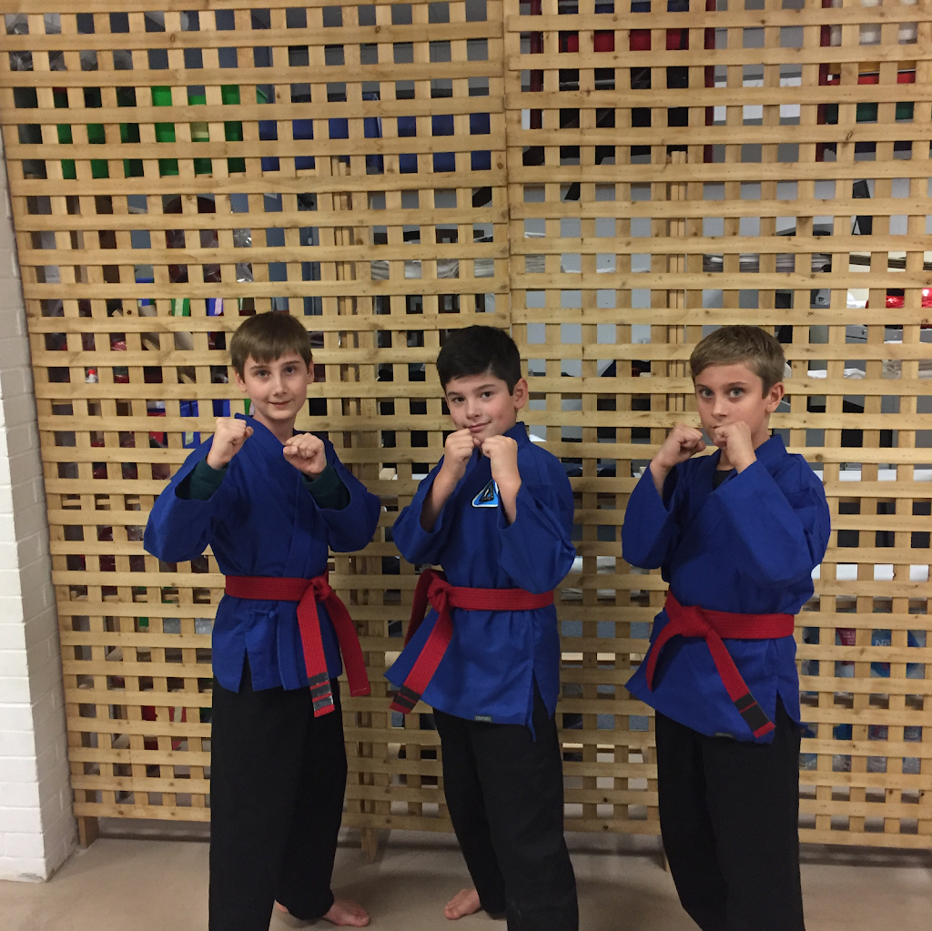 Canadian Freestyle Karate And Martial Arts | 8ll unit B, Chemong Rd, Peterborough, ON K9H 5Z5, Canada | Phone: (705) 749-0754
