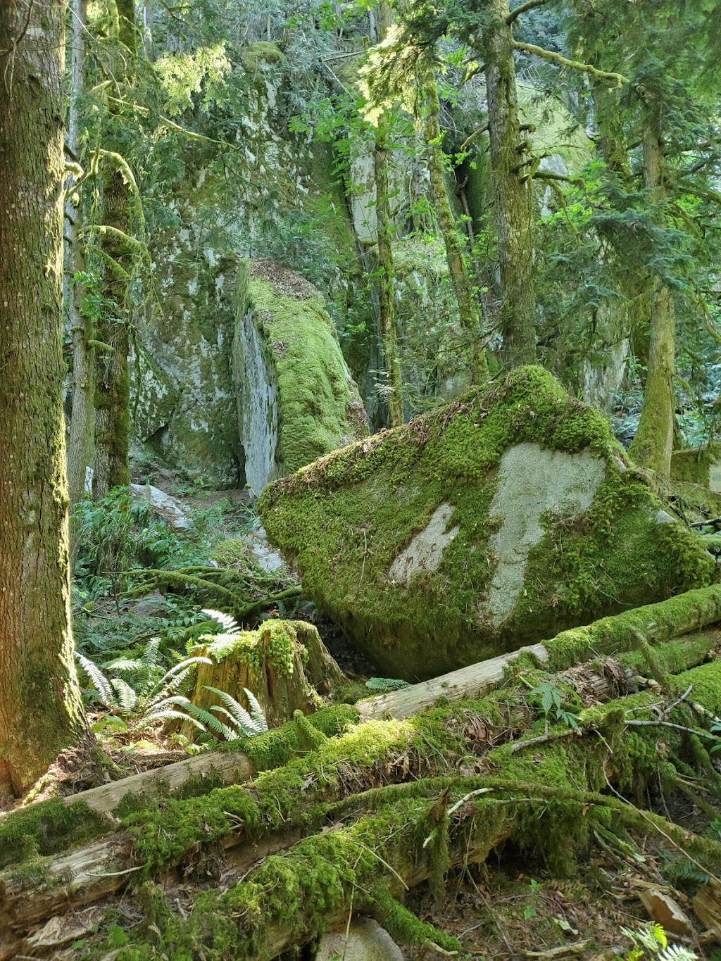 Kw’okw’echíwel Stl’áleqem (Dragons Back) trailhead | 19601 Silver Skagit Rd #20021, Hope, BC V0X 1L2, Canada | Phone: (604) 869-1274