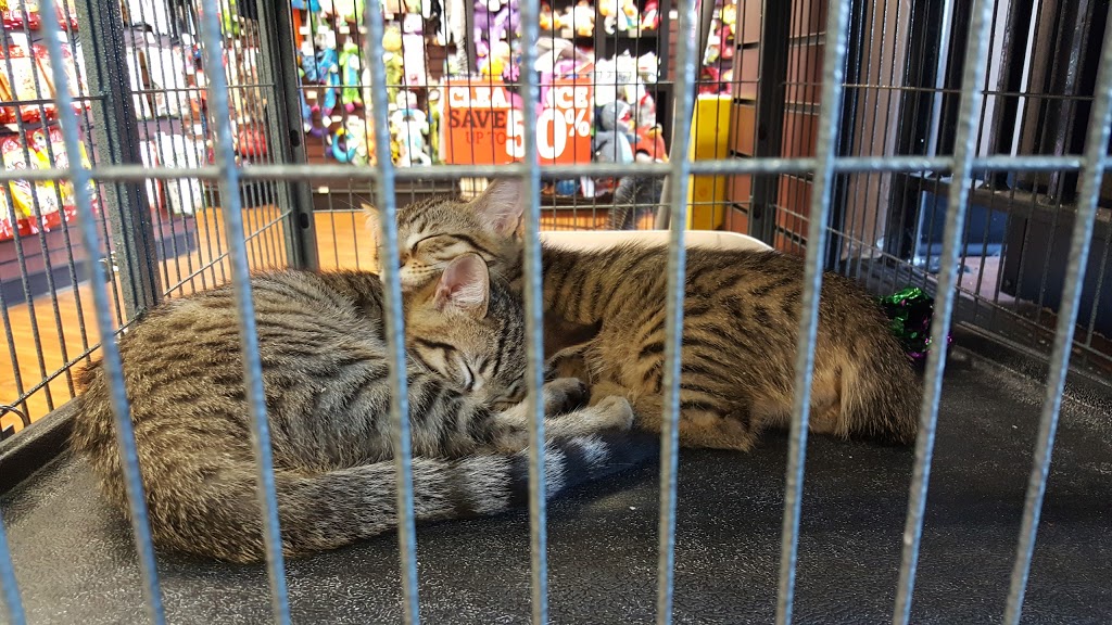 Pet Valu | 895 Lawrence Ave E, North York, ON M3C 3L2, Canada | Phone: (416) 447-1902