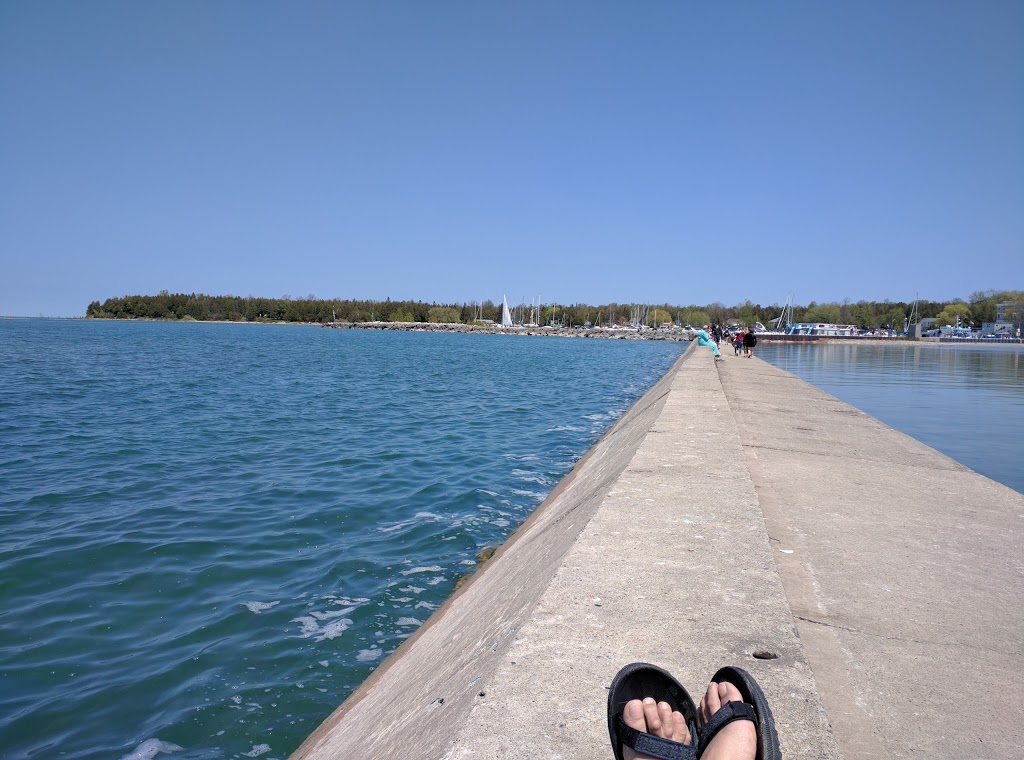 Beachside Cafe | 596 Harbour St, Port Elgin, ON N0H 2C5, Canada | Phone: (519) 832-5455