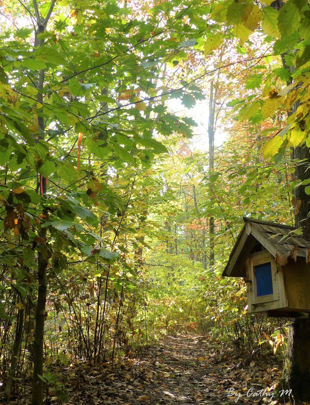 Plein Air Ville-Joie | 11441 Rue Notre Dame O, Trois-Rivières, QC G9B 6W5, Canada | Phone: (819) 377-3987