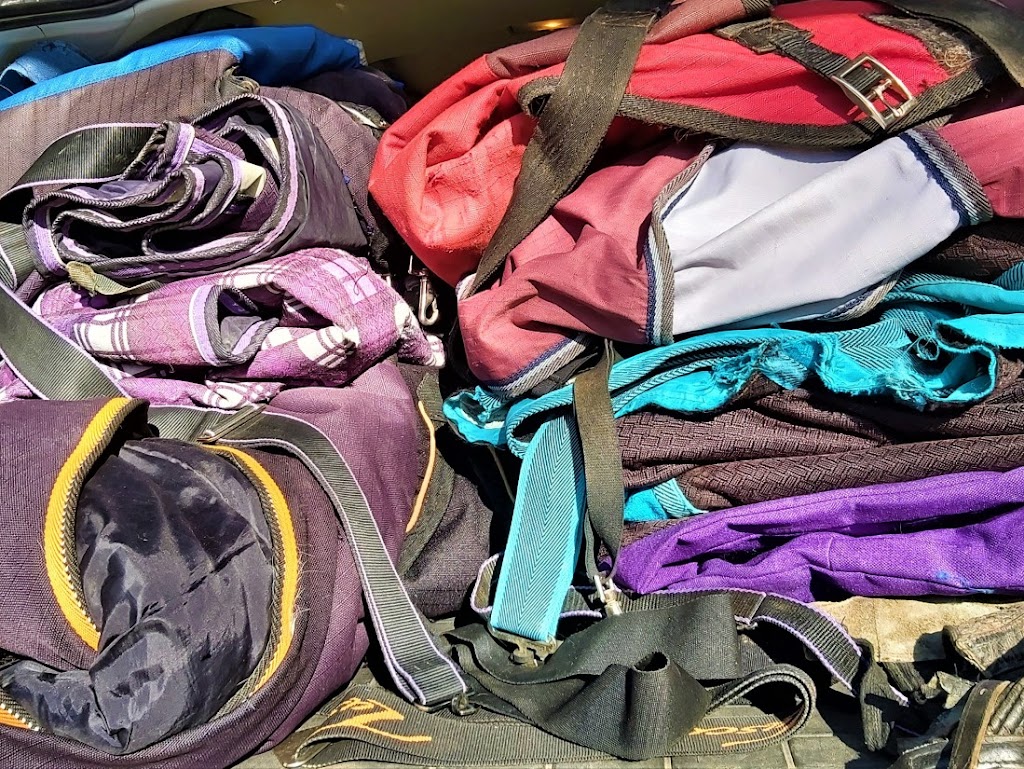 Frog Hollow Equine Services | 52128 Range Rd 14, Carvel, AB T7Y 2E1, Canada | Phone: (780) 905-8377