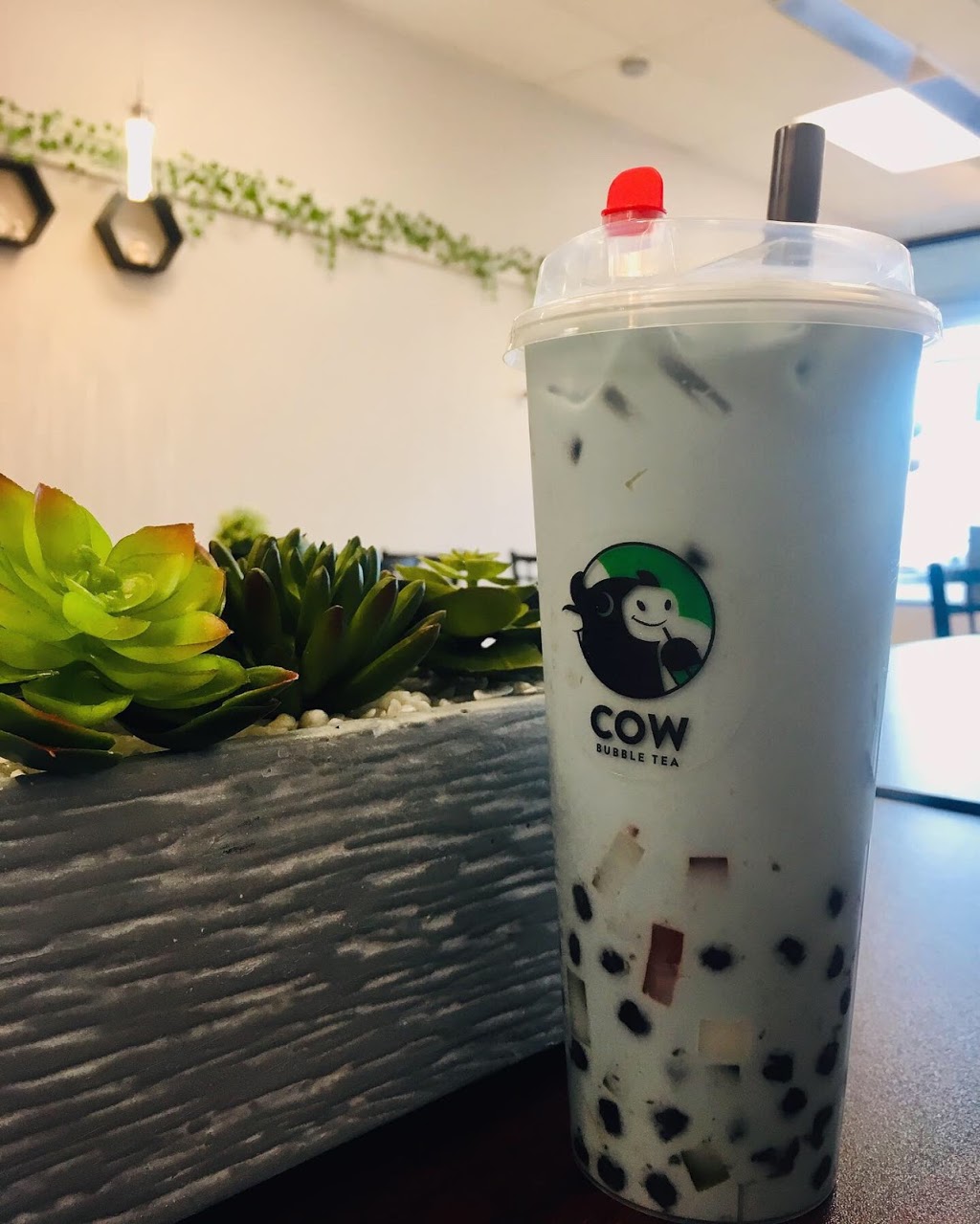 Cow Bubble Tea | 3500 Main St, Buffalo, NY 14226, USA | Phone: (716) 398-5640