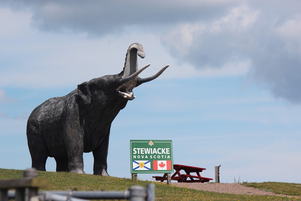 The Local Shop & Market | 87 Main St W, Stewiacke, NS B0N 2J0, Canada | Phone: (902) 639-2345