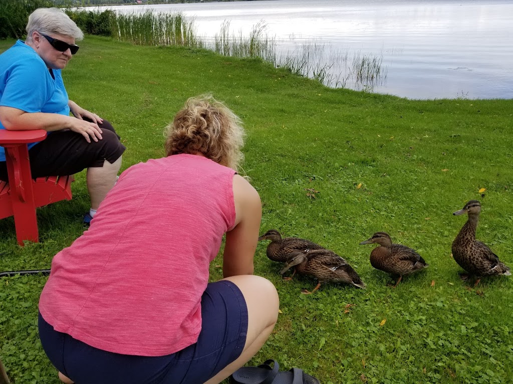 spectacle lake lodge | 2-104 Hart Ln, Calabogie, ON K0J 1H0, Canada | Phone: (800) 567-4044