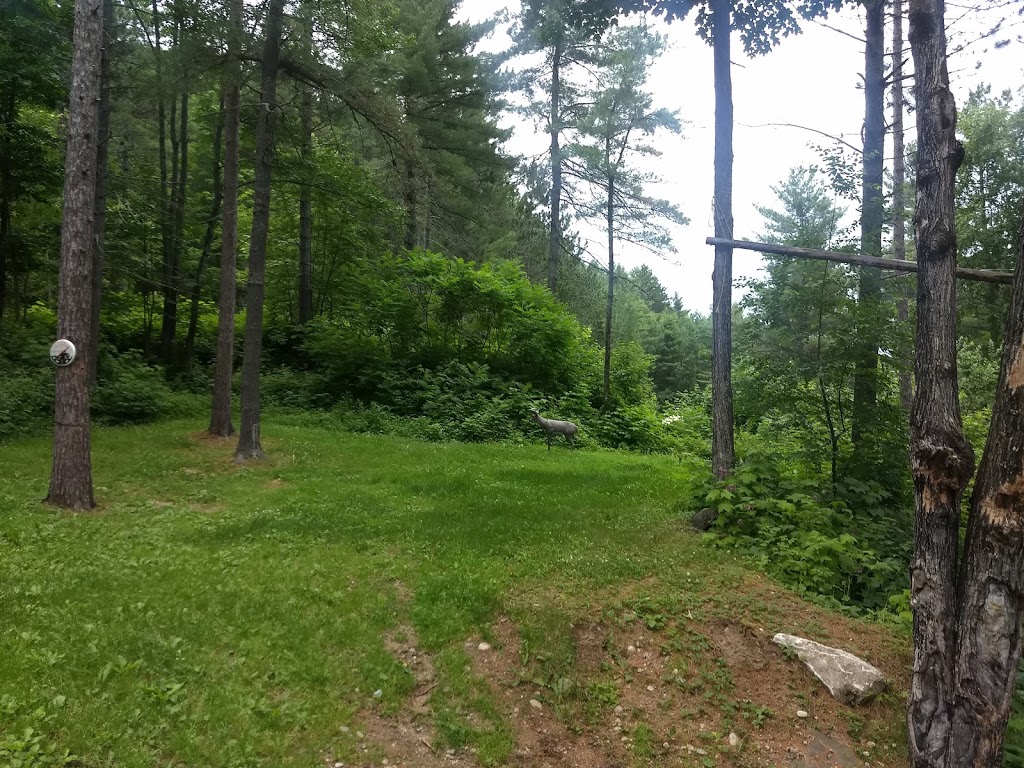 Pourvoirie Michel Saint Louis | 30 Chemin de la Baie Laplante, Notre-Dame-de-Pontmain, QC J0W 1S0, Canada | Phone: (866) 597-2617