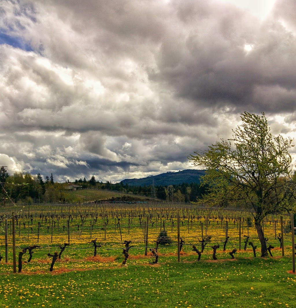 Zanatta Winery | 5039 Marshall Rd, Duncan, BC V9L 6S3, Canada | Phone: (250) 748-2338