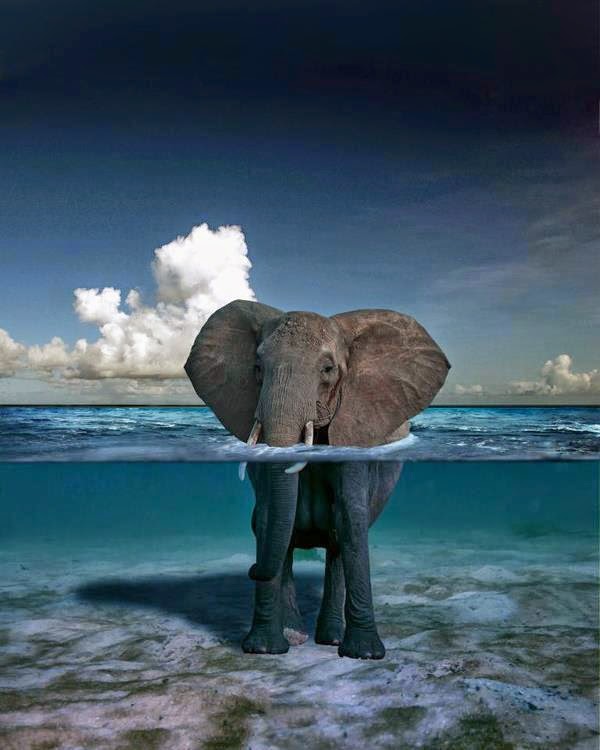 Mermaid Pools and Hot Tubs | 2012 Tenth Line Rd, Orléans, ON K4A 4X4, Canada | Phone: (613) 714-7946