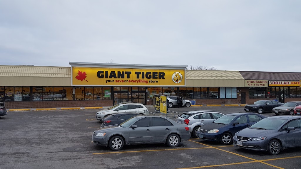Giant Tiger | 969 Upper Ottawa St, Hamilton, ON L8T 4V9, Canada | Phone: (905) 318-0001