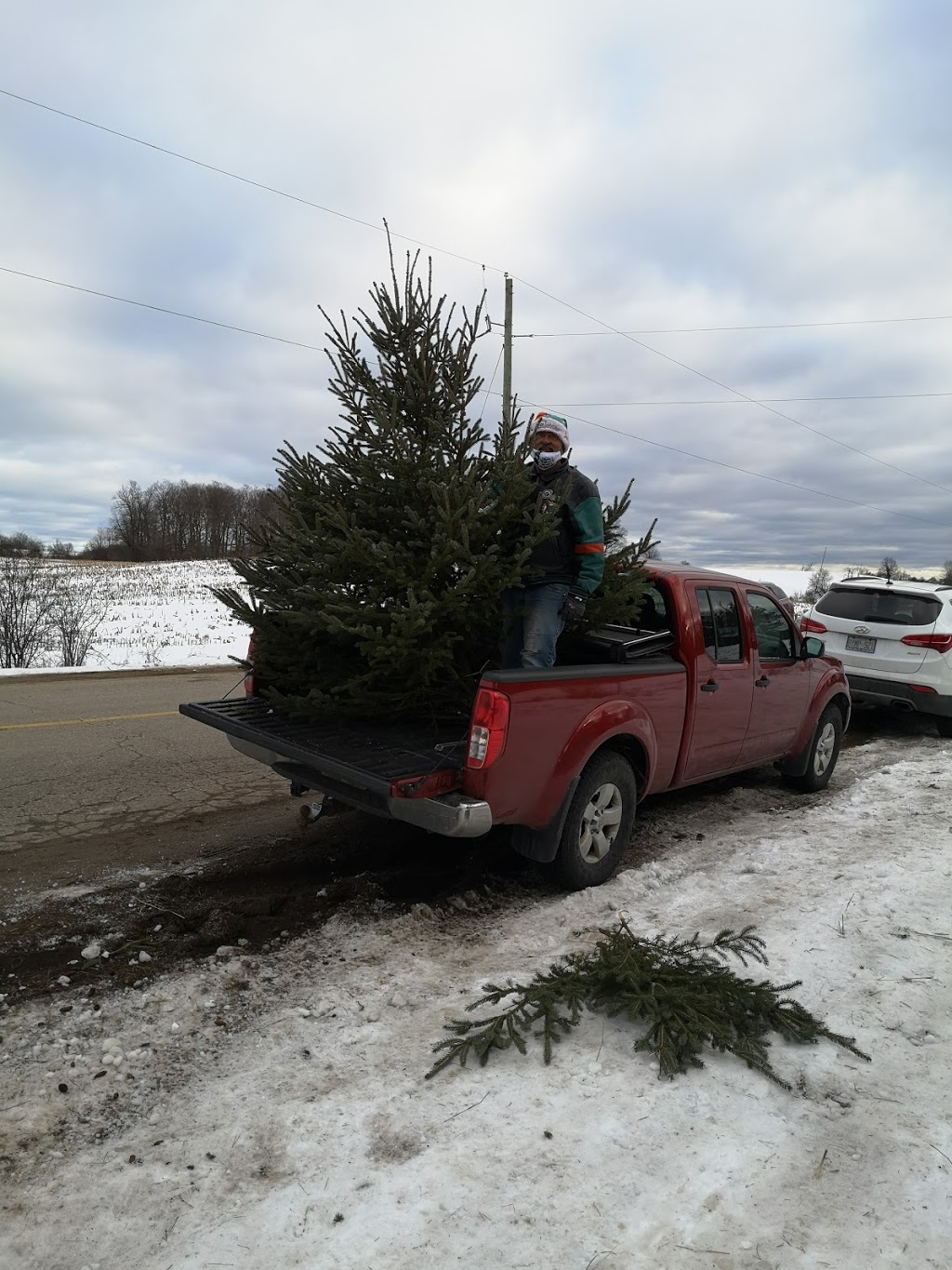 Forestells Christmas Trees | 4556 Sideroad 20 N, Puslinch, ON N0B 2J0, Canada | Phone: (519) 831-1942