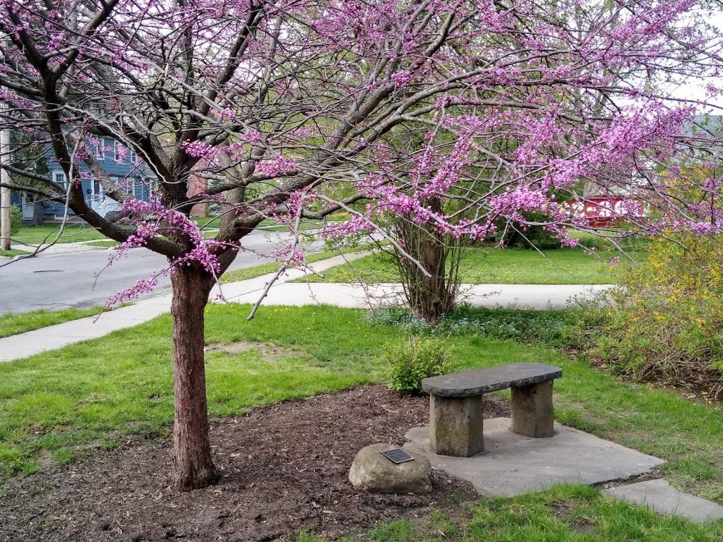 Millard Fillmore Museum | 24 Shearer Ave, East Aurora, NY 14052, USA | Phone: (716) 652-4735