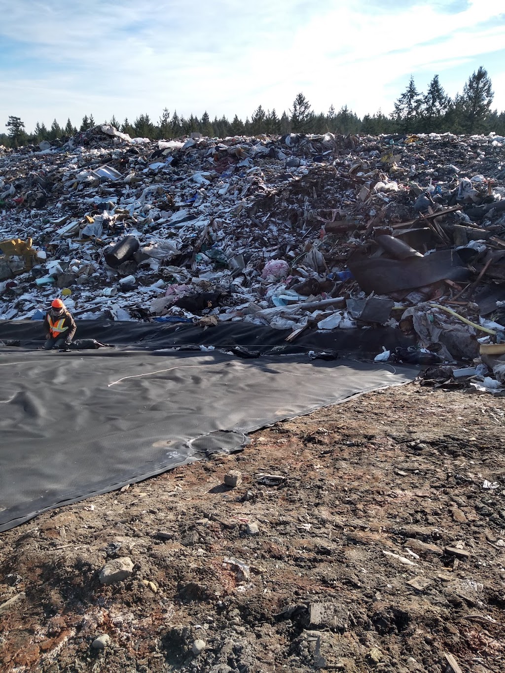 Coast Environmental | 1943 Millstream Rd, Victoria, BC V9B 6E2, Canada | Phone: (250) 478-9886