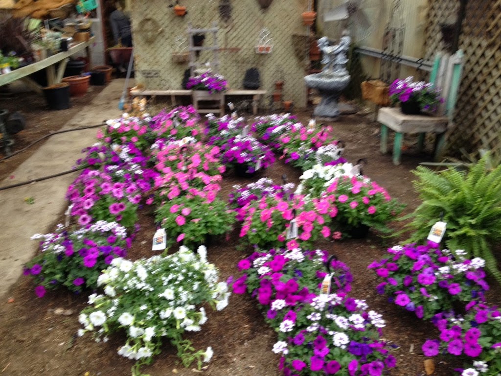 A&M Garden Centre and Sod Supply | 4171 Colonel Talbot Rd, London, ON N6P 1A1, Canada | Phone: (519) 652-3539