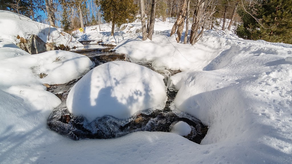 Cutler Lake Lodge | 499 Cutler Lake Rd, Massey, ON P0P 1P0, Canada | Phone: (705) 865-2990