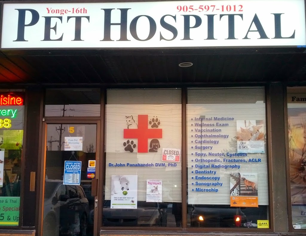 Yonge 16th Animal Hospital | 9218 Yonge St, Richmond Hill, ON L4C 7A2, Canada | Phone: (905) 597-1012