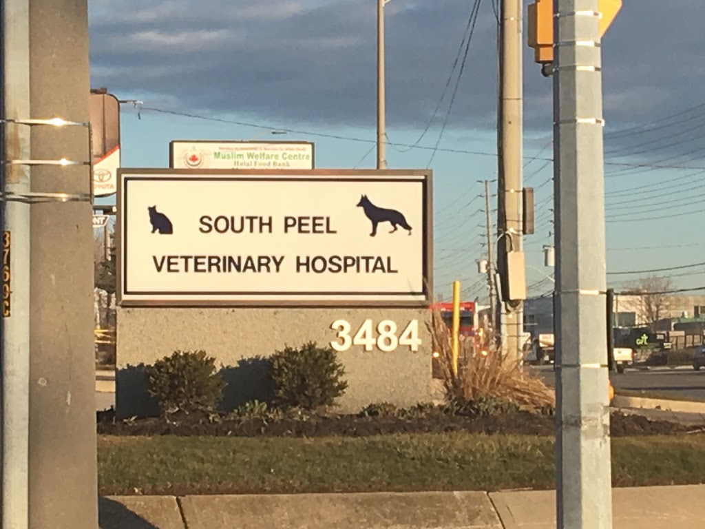 South Peel Veterinary Hospital | 3484 Mavis Rd, Mississauga, ON L5C 1T8, Canada | Phone: (905) 277-4500
