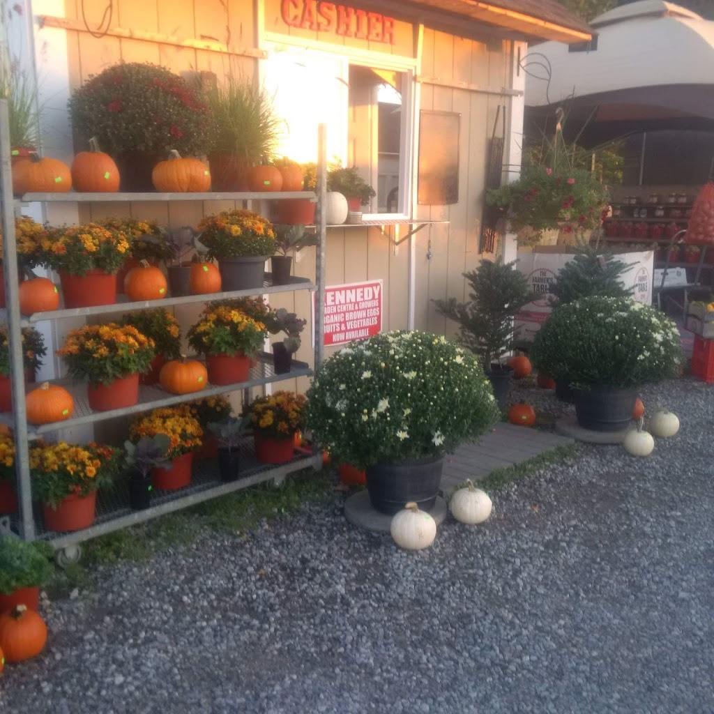 Kennedy garden center and growers of caledon | 13540 KennedyRoad South, Inglewood, ON L7C 2G2, Canada | Phone: (416) 567-7066