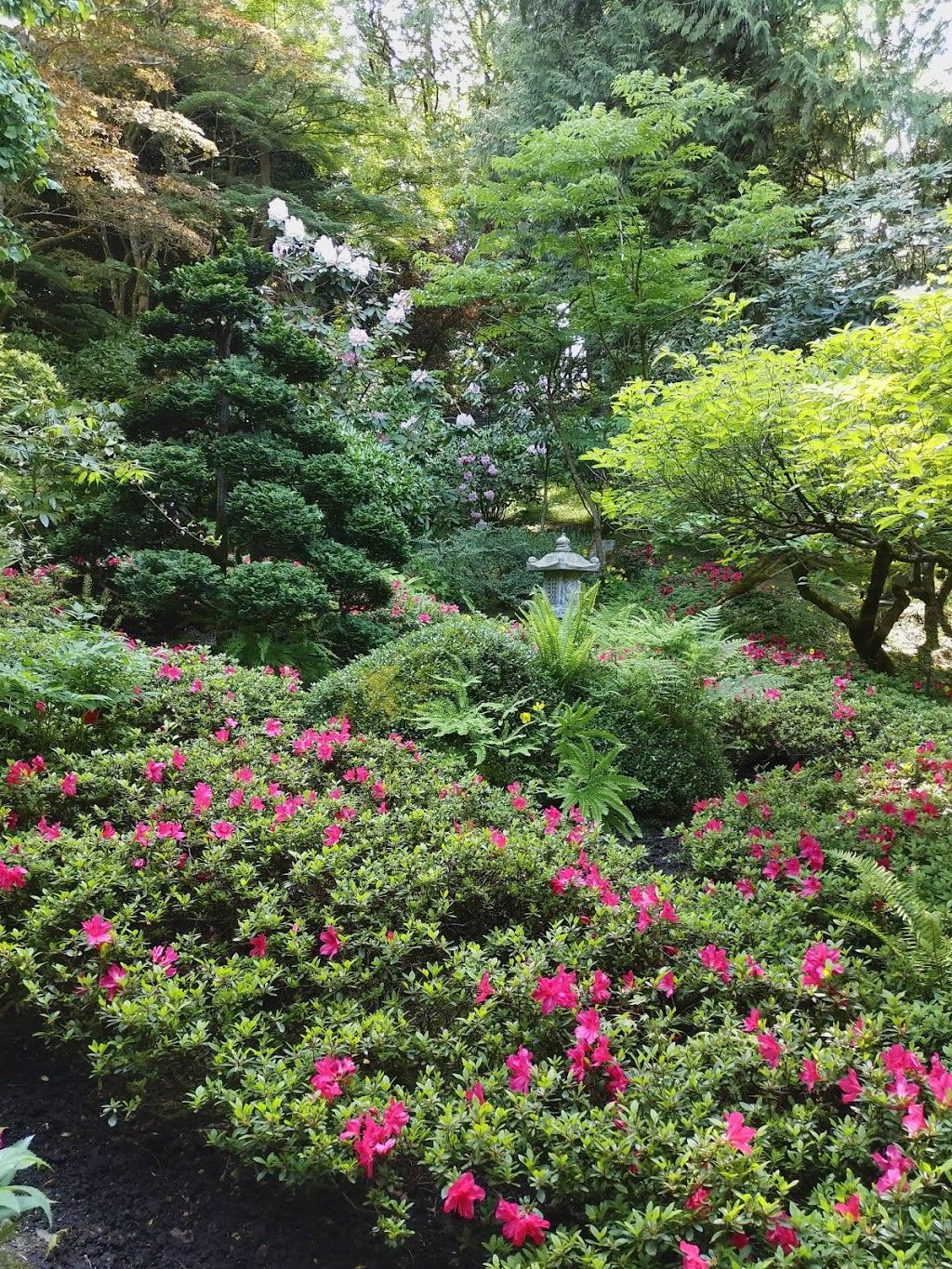Japanese Garden | Brentwood Bay, BC V8M 1A6, Canada