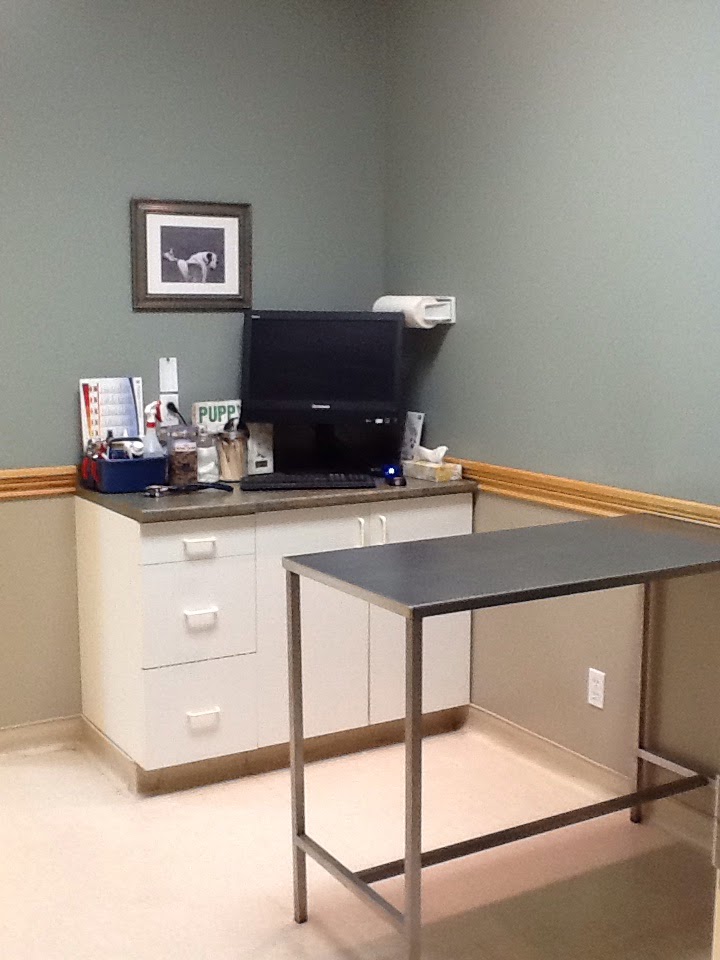 Loyalist Veterinary Hospital | 360 Bell Blvd, Belleville, ON K8P 5H8, Canada | Phone: (613) 966-2519